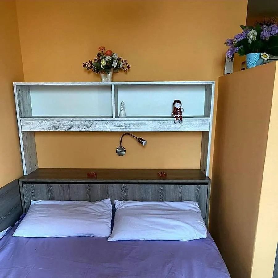 Praskova Apartment 索菲亞 保加利亚